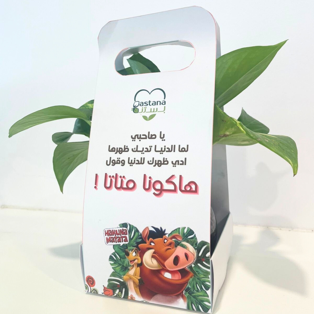 Friend Ship gift - Pothos plant