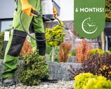 Garden Maintenance (Long Term - 6 months)