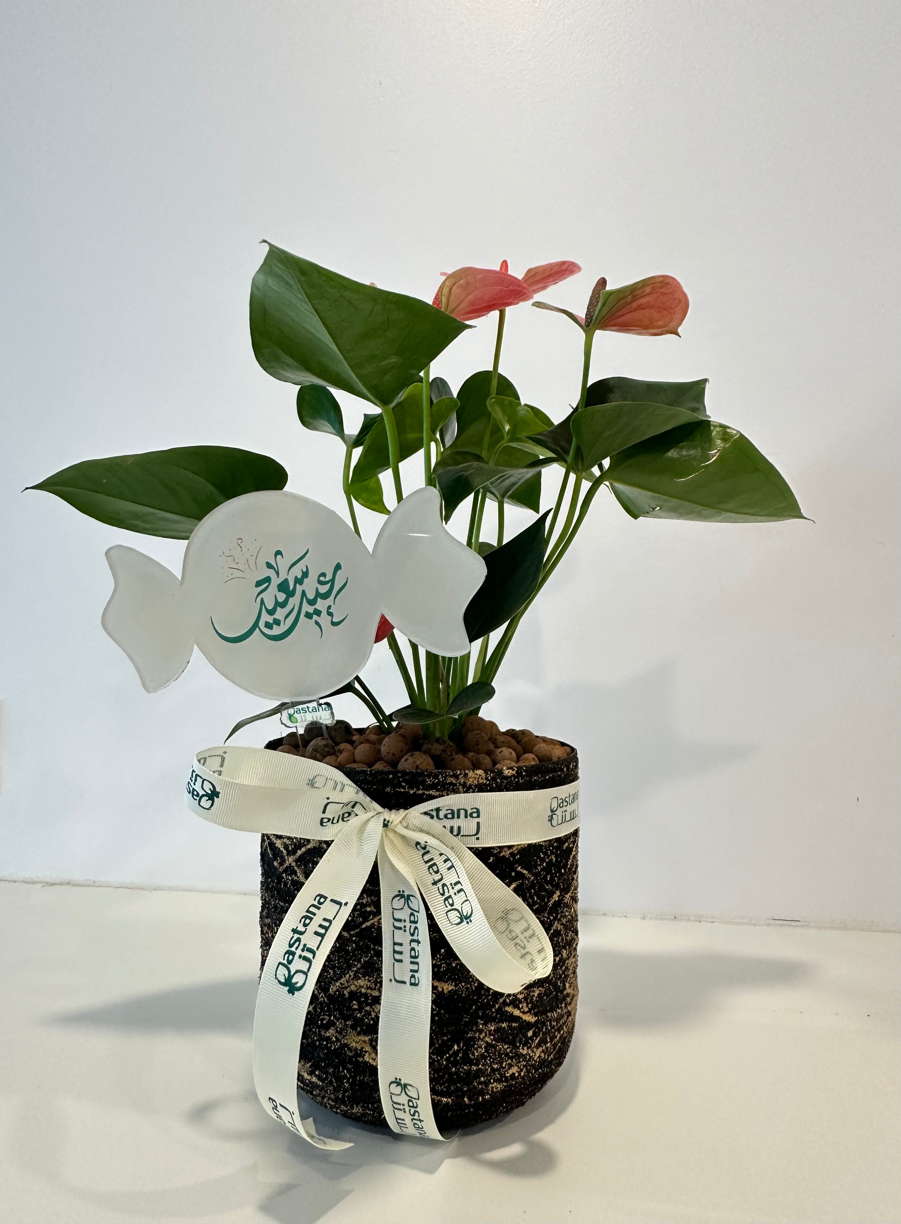 Eid's gift.