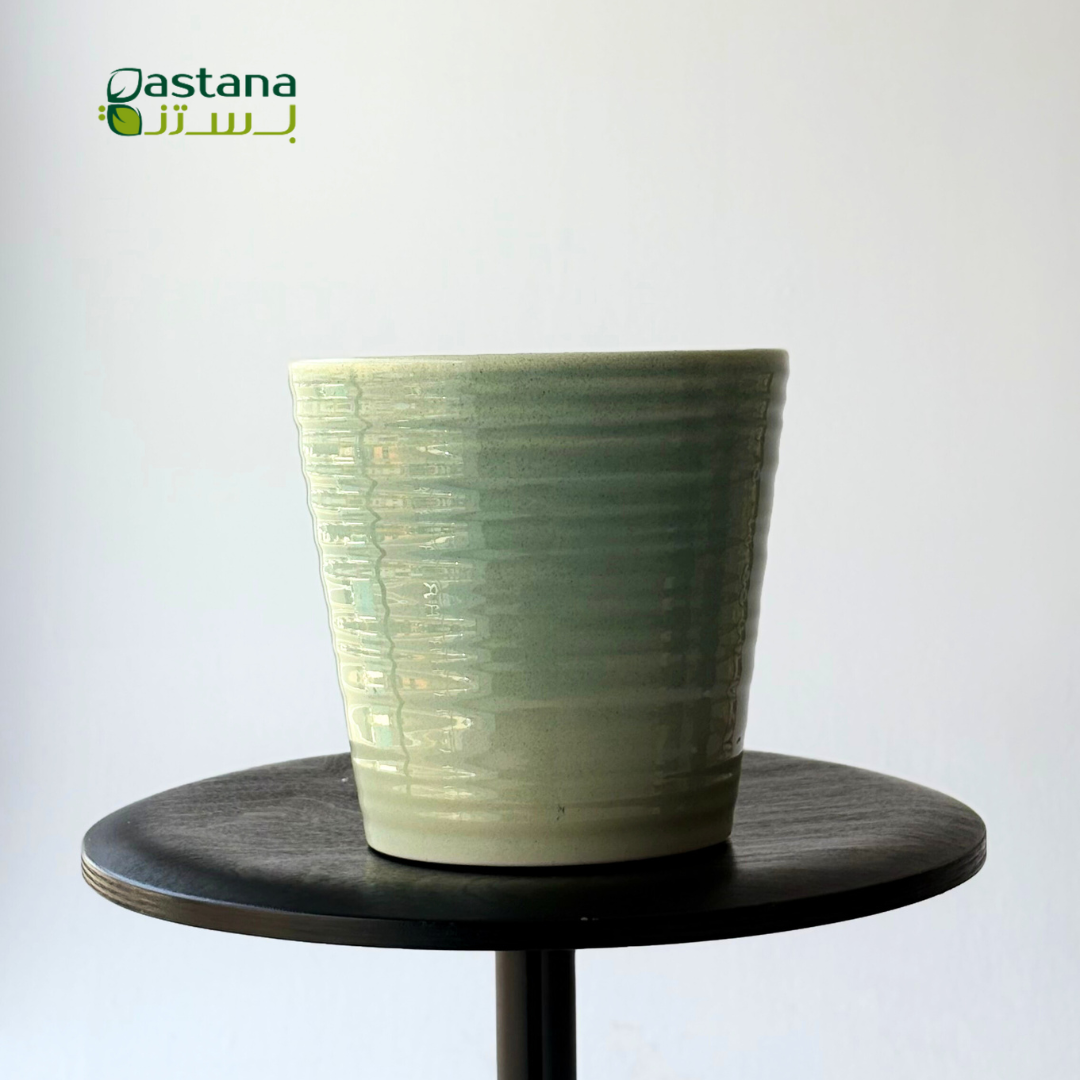 Canbera Effekt ( Blue )