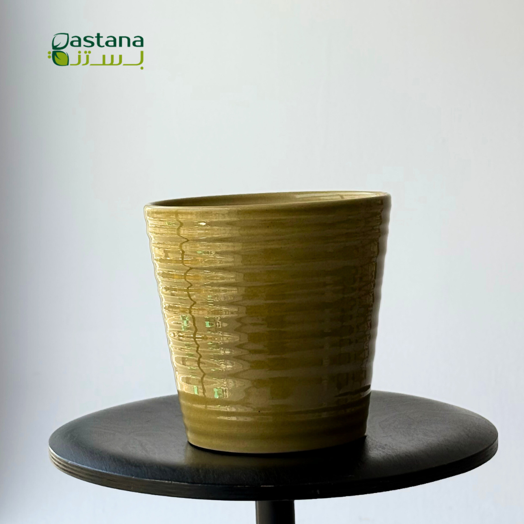 Canbera Effekt ( Green )