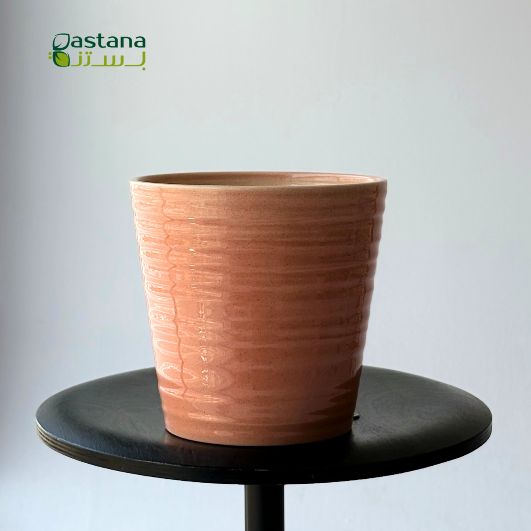 Canbera Effekt ( Red )