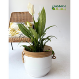 CERAMIC POTS ( White )