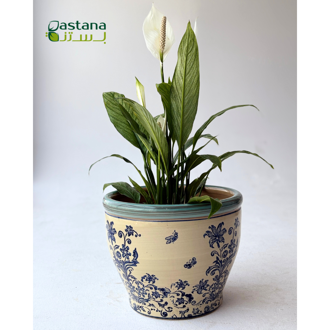 Ceramic Pots