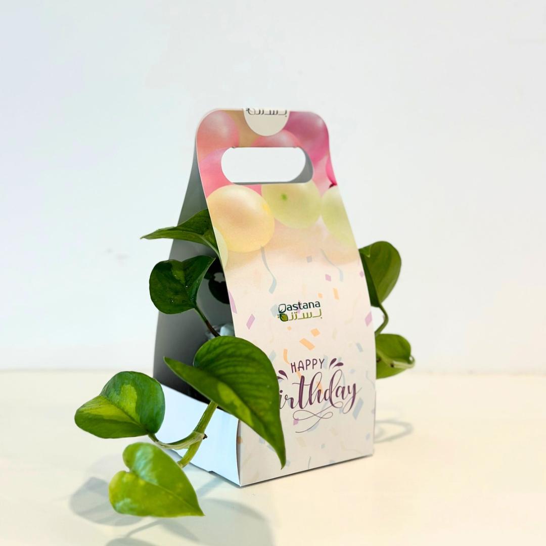 Birthday gift - Pothos plant