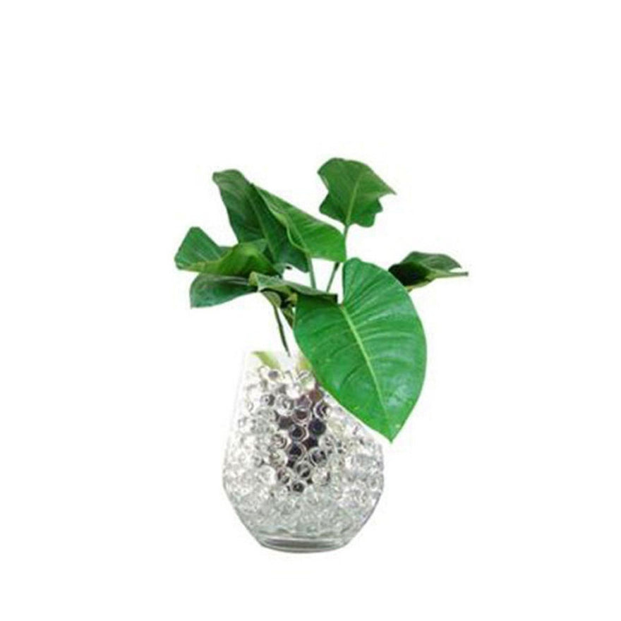 وسط زراعي مائي - كرات الجل الرطبة