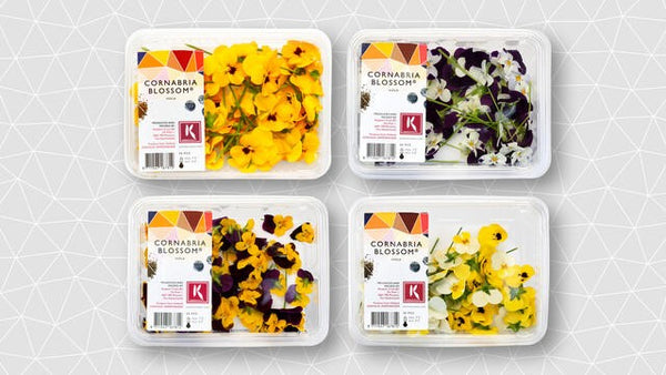 Grow Your Own Food - Easy Edible Flowers (Guest Post) - food to glow