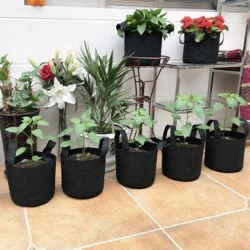 5 gallon indoor planter Aeration Microfiber Plant Pots 5 Gallon, Indoor, Outdoor (Black)-JERIA –  Bastana Online Gardens