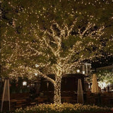 إضاءة تجميلية للحدائق - عقود ضوئية