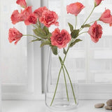 فازة زجاجية تصميم عصري