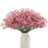 Baby's breath flowers Gypsophila