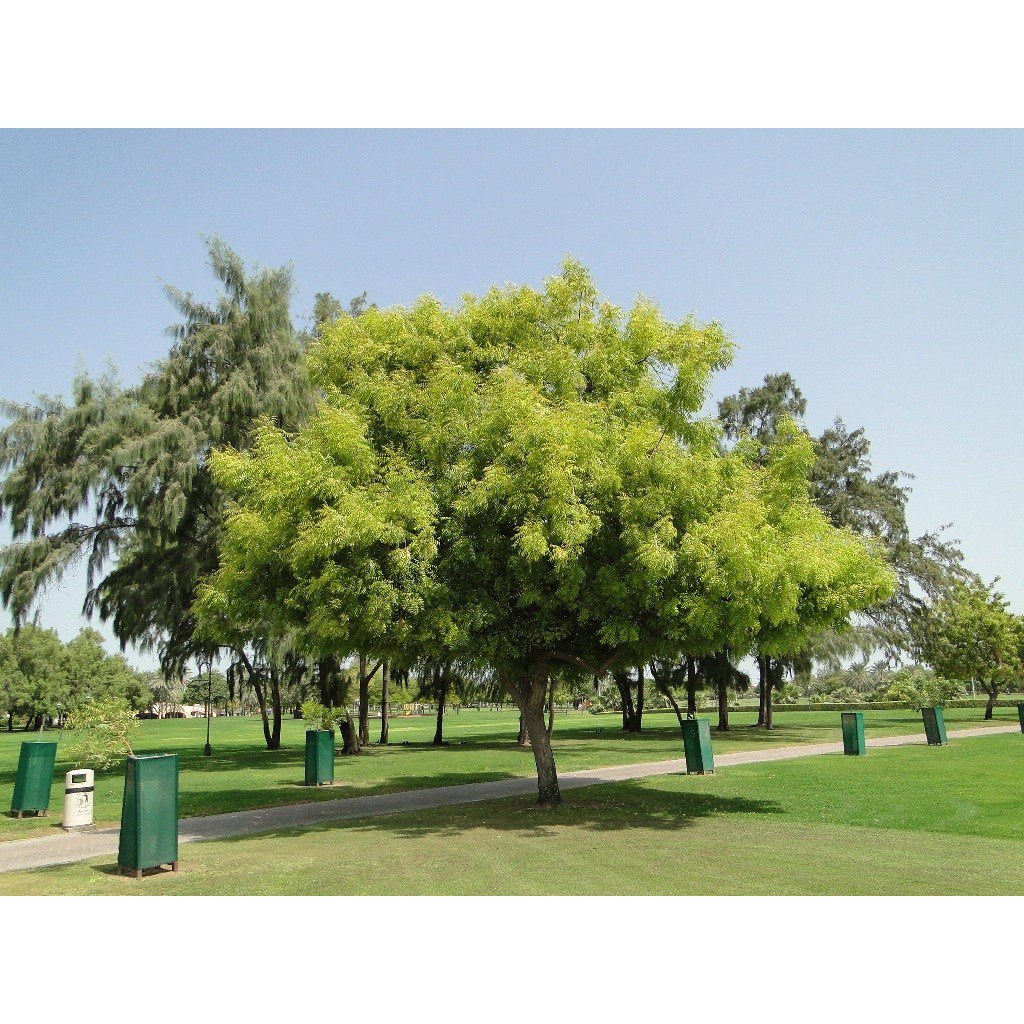 BA-TR2003-1