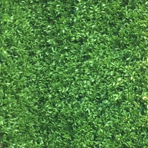 مغطيات نباتية صناعية - حدائق جدارية الروابي الخضراء