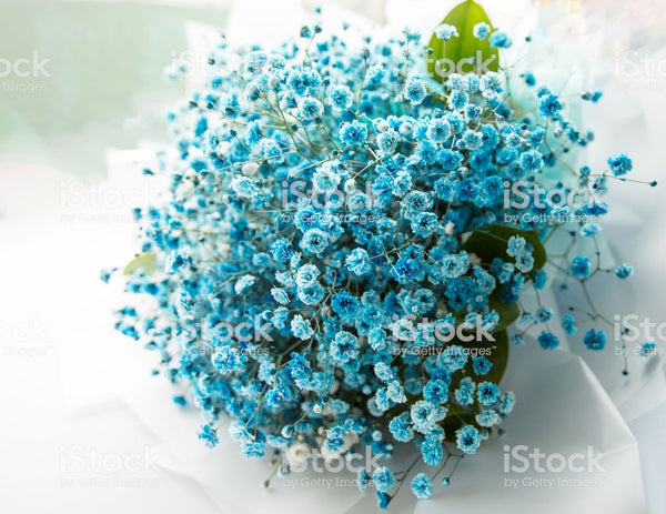 blue