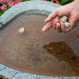 مبيد طبيعي صديق للبيئة للتخلص من ناموس حمي الضنك يوضع في مواقع تجمعات المياه الراكدة والرطوبة المرتفعة