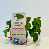 Teachers day Gift - Pothos Plant