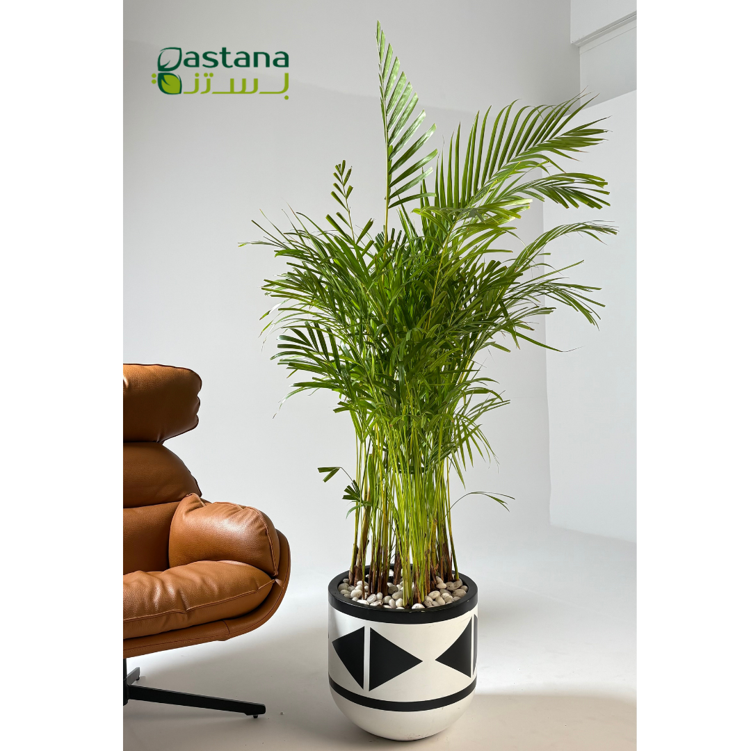 Fiber pot - Geometric Black & White - Areeca