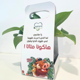 Friend Ship gift - Pothos plant