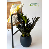 CERAMIC POT ( Dark Blue )