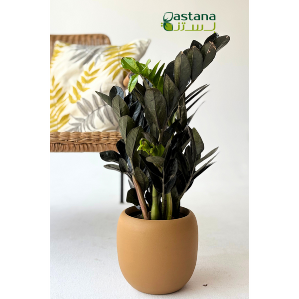 CERAMIC POT ( Mustard )
