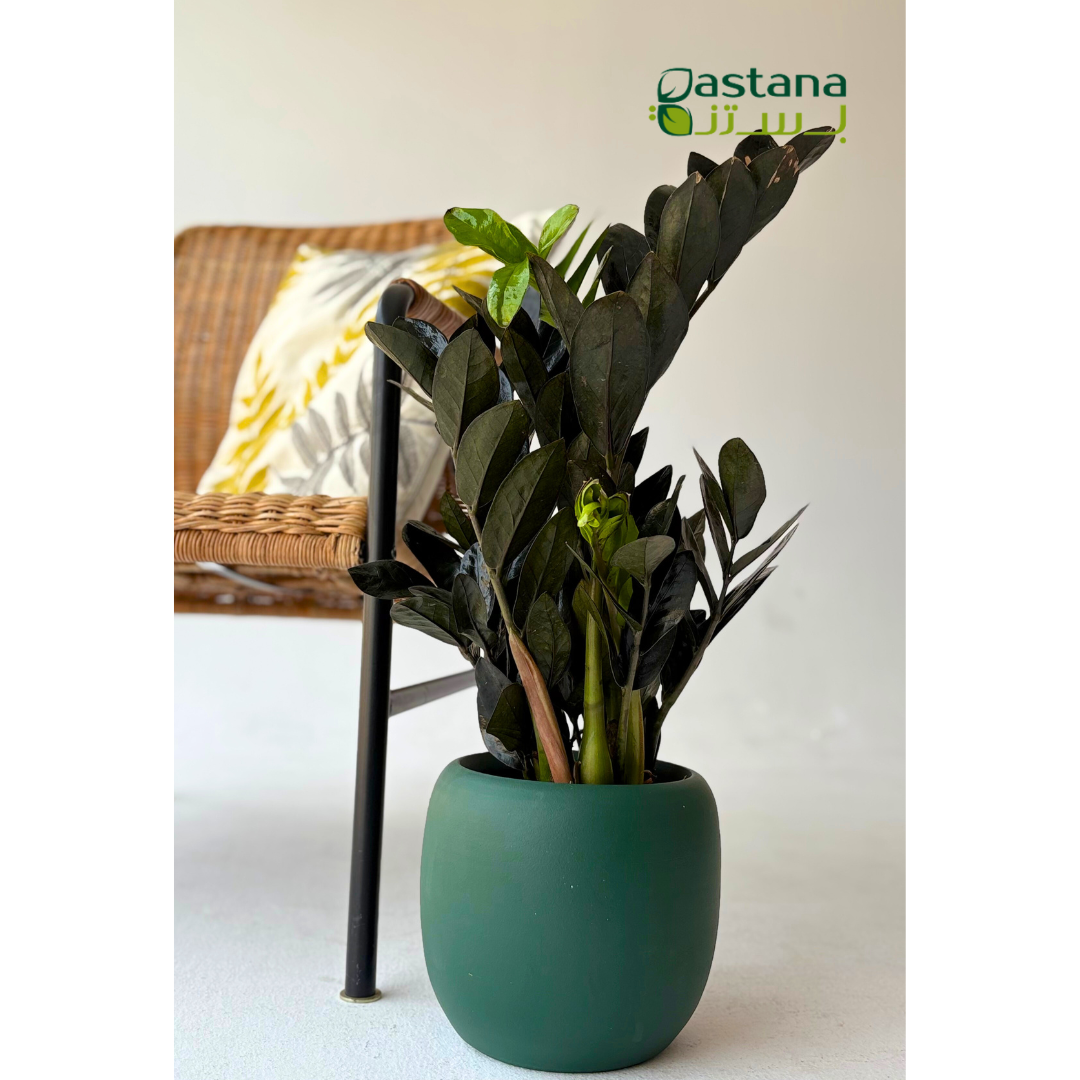 CERAMIC POT ( Dark green )