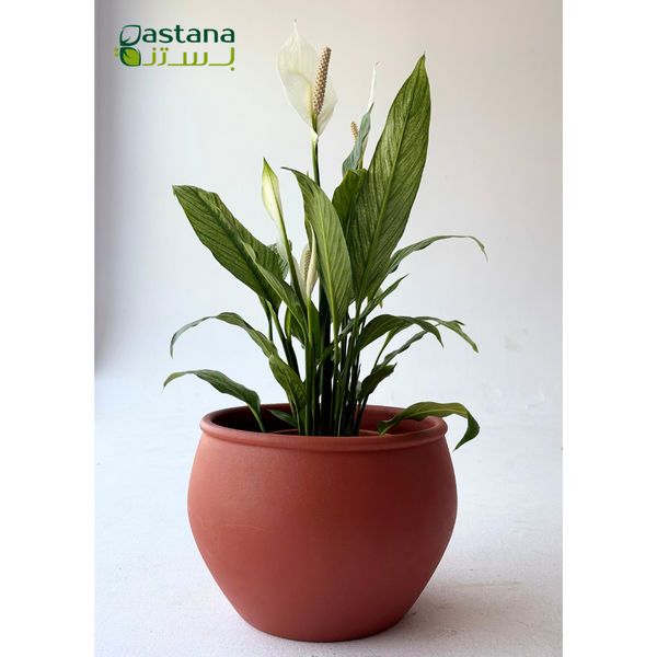 Fibber Clay Pot ( Terracotta Color )