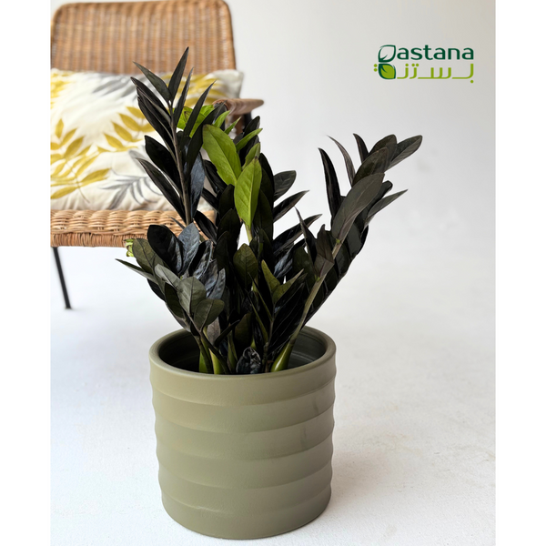 Fiber Cement Pot (Olive Green )