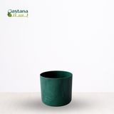 The Ocean Collection Round ( Green )