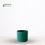 The Ocean Collection Round ( Green )
