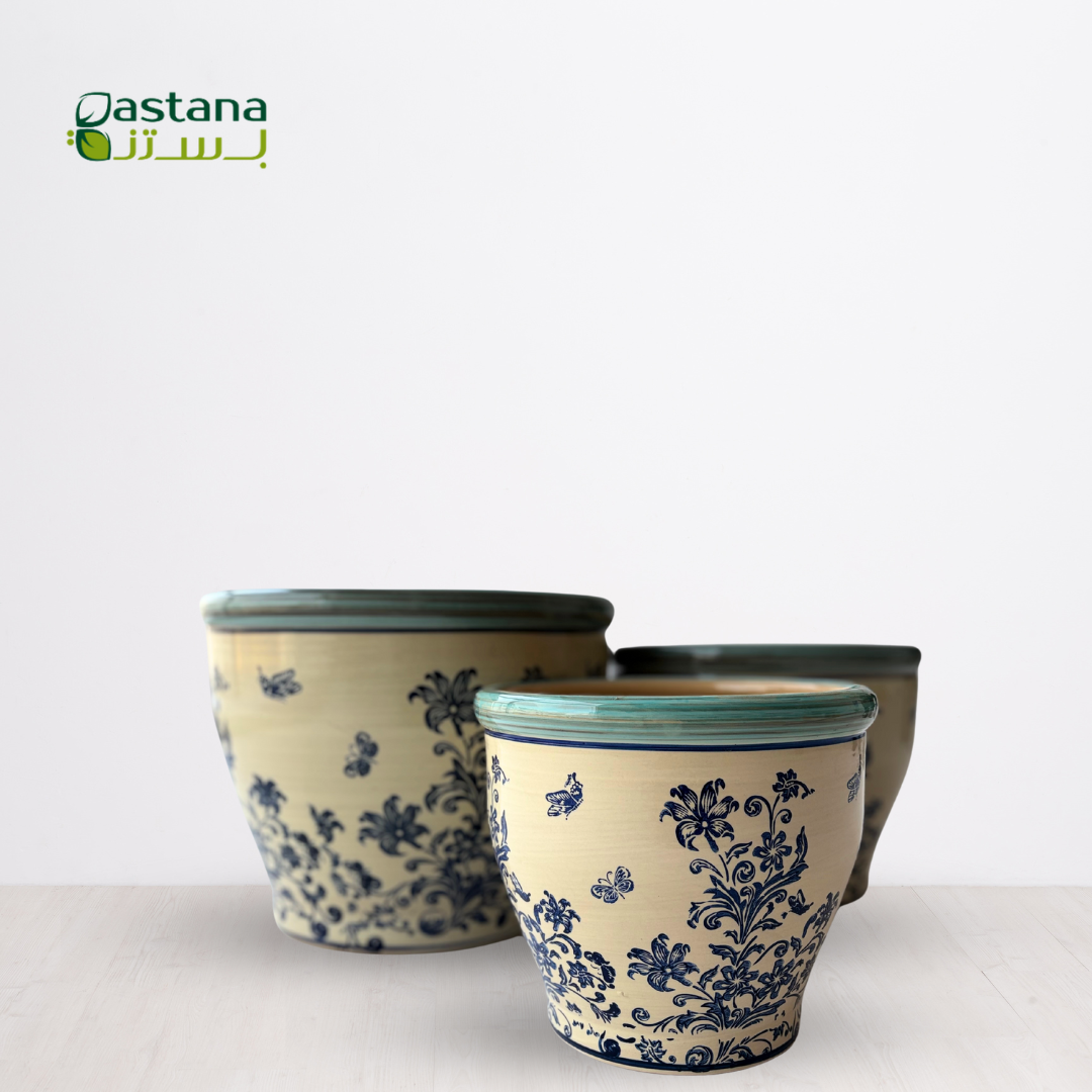 Ceramic Pots