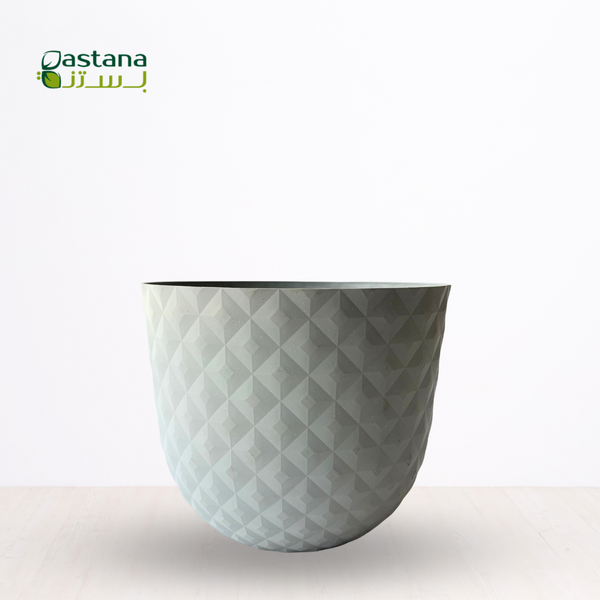 Havana Tropical ( Gray )