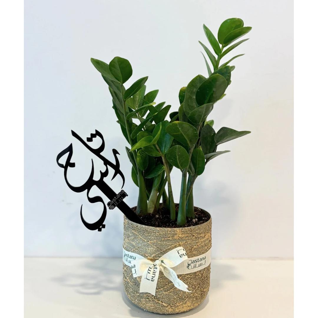 Mother day's gift.