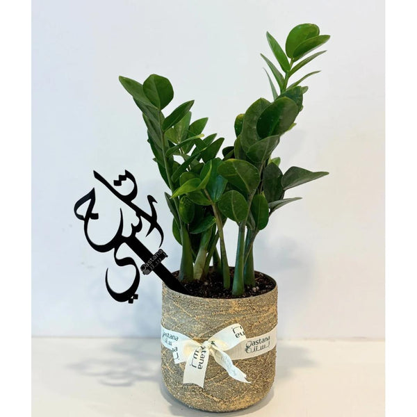 Mother day's gift.