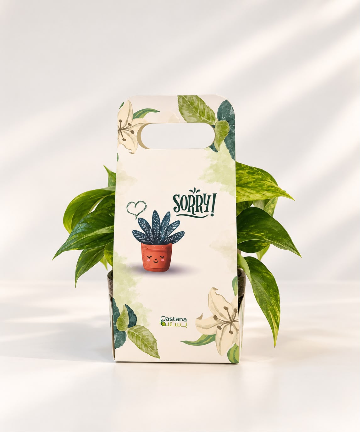 Apology gift - Pothos plant