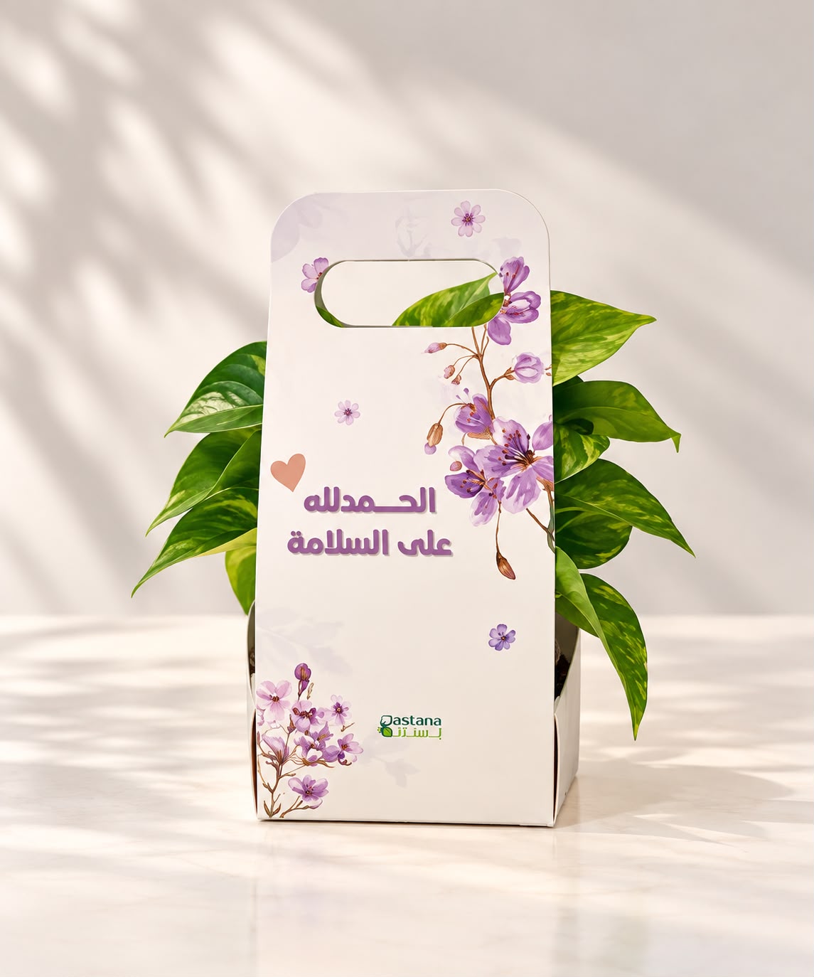 Get Well Soon gift - Pothos plant