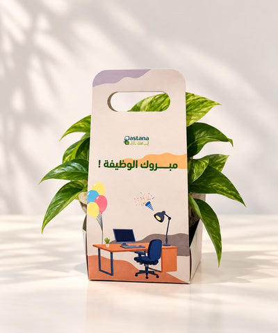 New Job Congrats gift - Pothos plant
