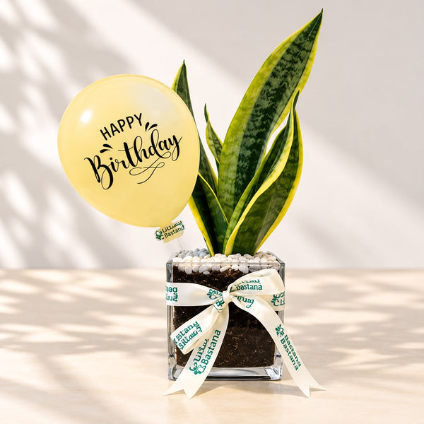 Birthday Plant - Snake