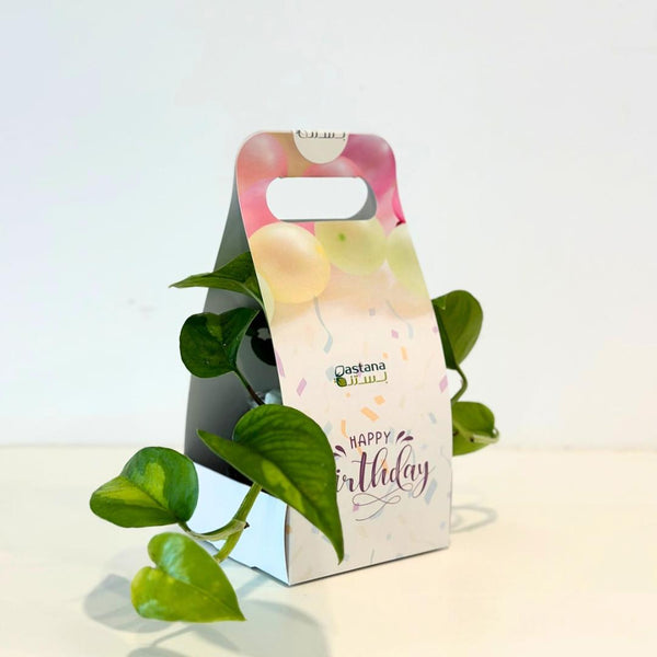 Birthday gift - Pothos plant