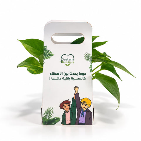 Friend Ship gift - Pothos plant