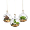 Spherical Shape  Hanging Glass Vase With Rope