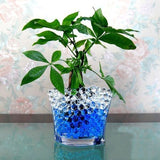 Crystal Gel Soil less Media