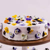 Edible flower Mixed, (Decorative, many possible uses)