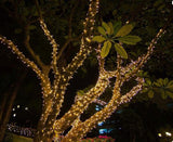 String Light Decoration