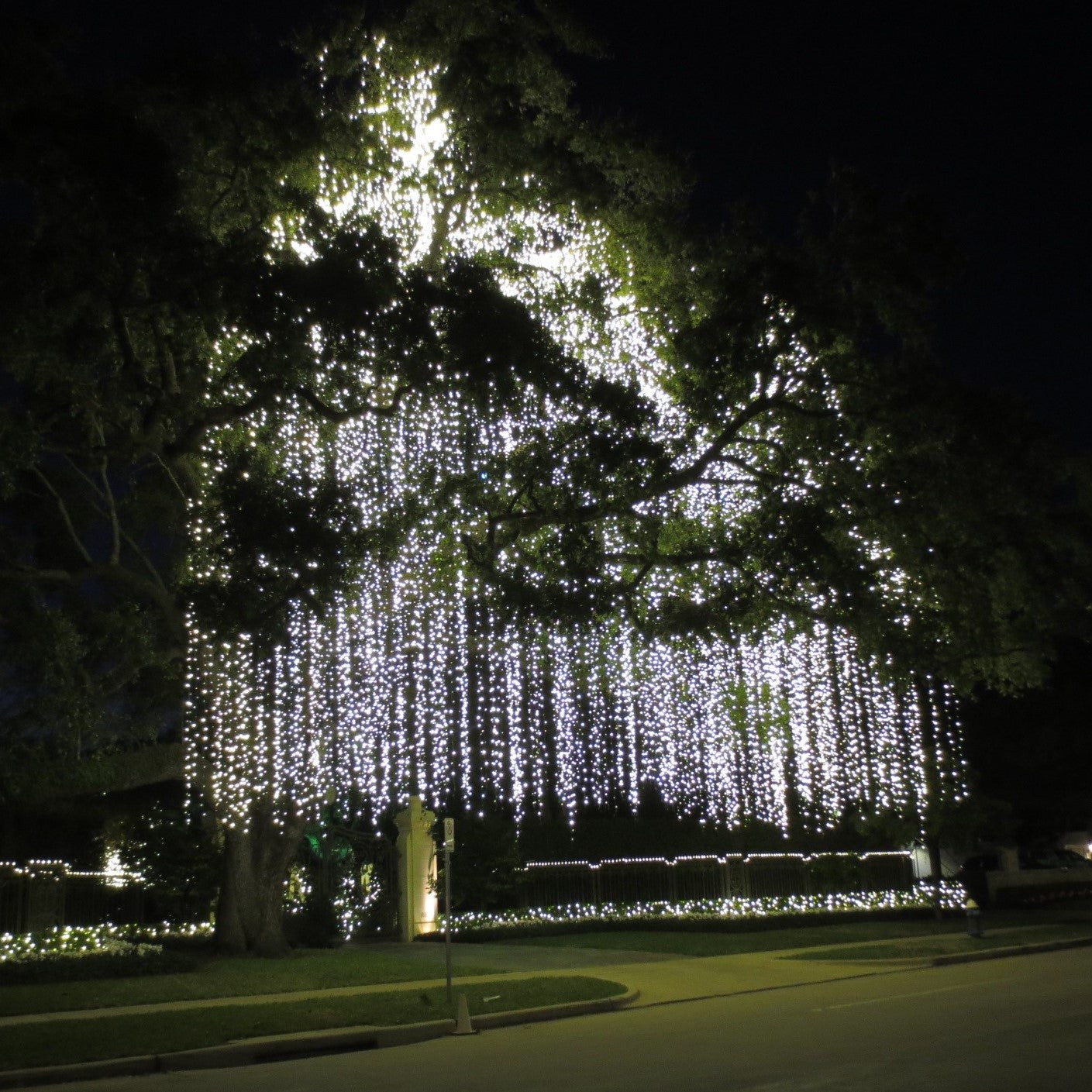 Cluster Garland Lights