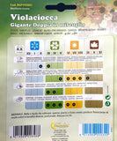 Matthiola incana-Stock flower feeds-Italy