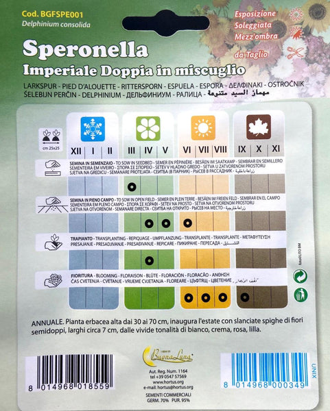 Consolida ajacis (Siberian larkspur)-Larkspur flower seeds-Italy
