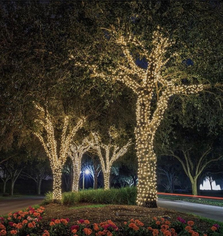 Net Light String Lights Decoration