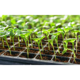 Seed Tray Inserts, 50 cell