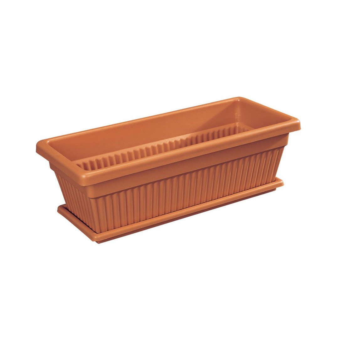 plastic rectangular plant pots Landscaping Plant Indoor Plants – Bastana Online Gardens