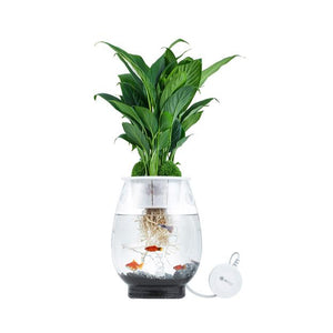 AquPlant25 - Glass bowl (Fish and Plant)